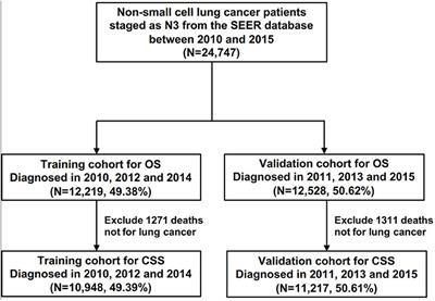 Outcome of Non-small Cell Lung Cancer Patients With N3 Stage: Survival Analysis of Propensity Score Matching With a Validated Predictive Nomogram